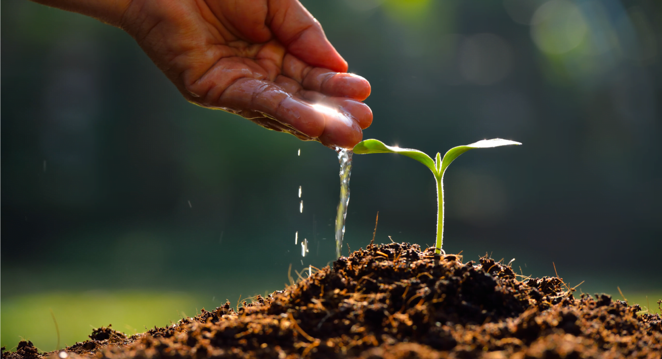 Nezha Water Technologie AGRICULTURE SOLUTIONS