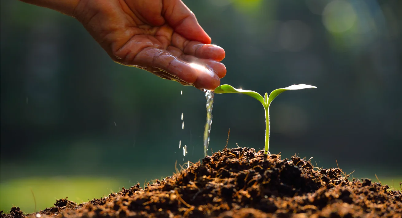 Nezha Water Technologie AGRICULTURE SOLUTIONS