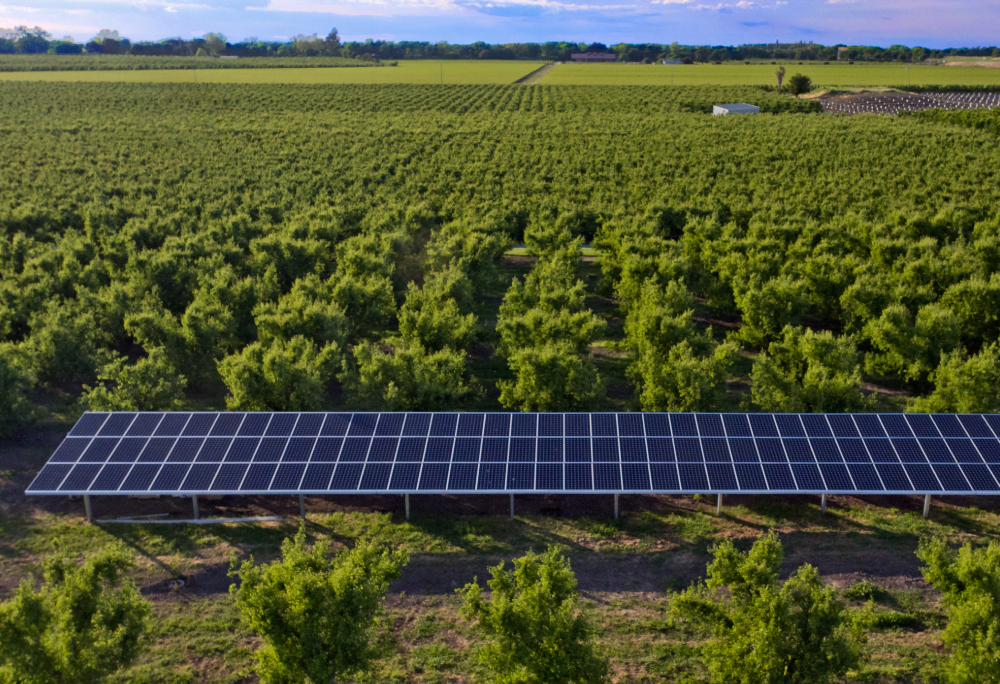 ÉNERGIE SOLAIRE nwt
