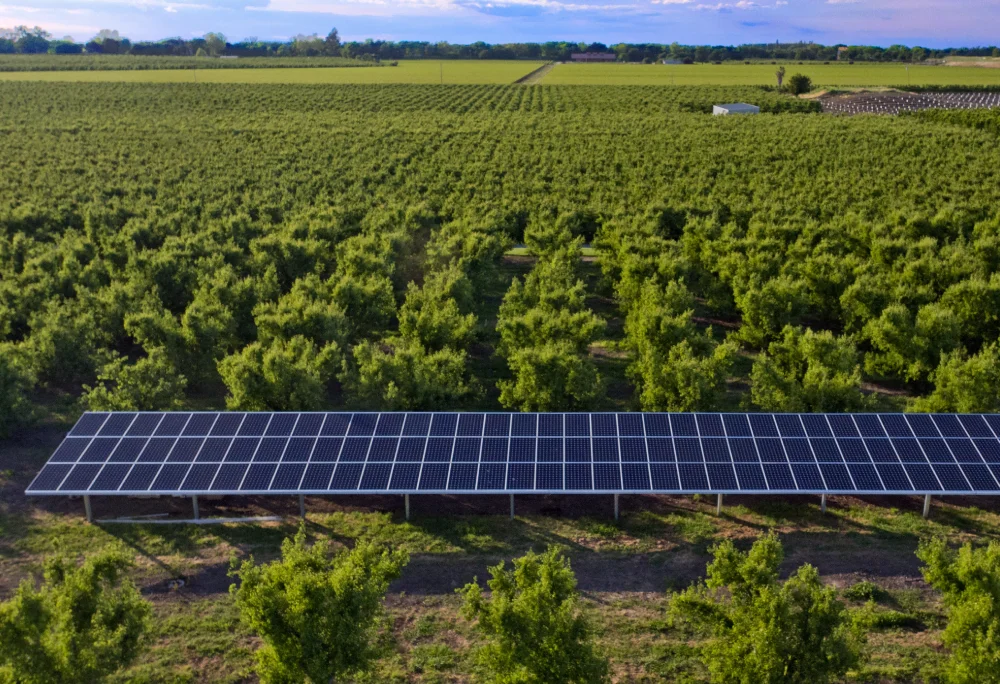 ÉNERGIE SOLAIRE nwt